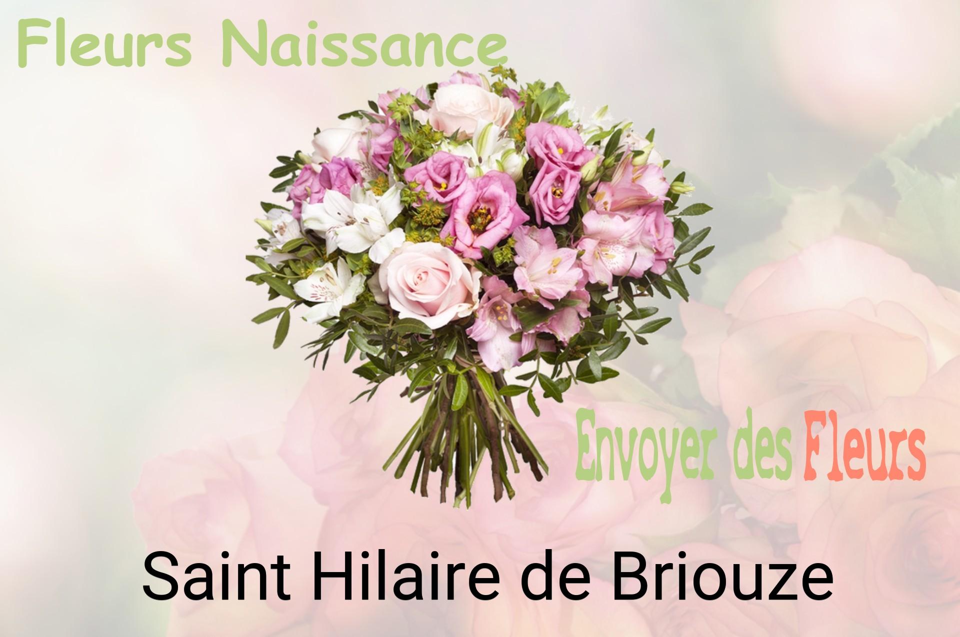 Bouquet de fleurs de naissance livré à Saint-Hilaire-de-Briouze